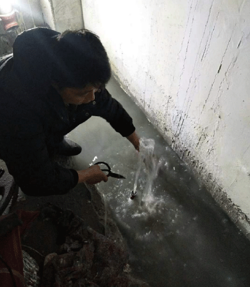 石家庄赞皇县防水堵漏